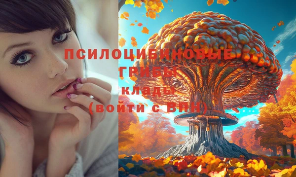 марки nbome Магадан