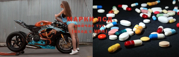 PSILOCYBIN Магас