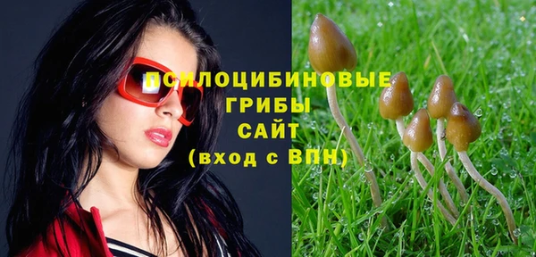 герыч Алагир